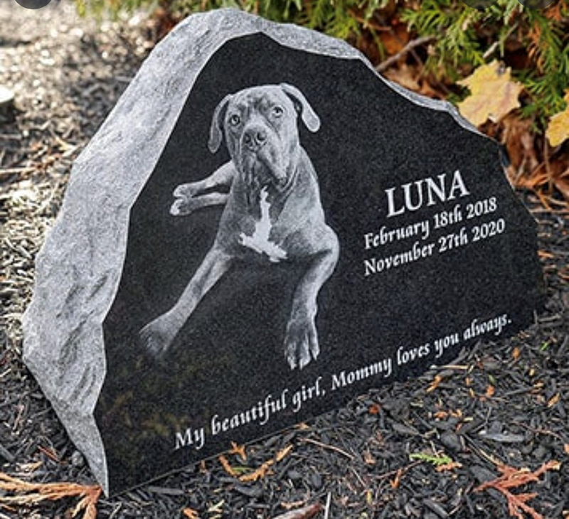 Stone engraved memorial plaque for a beloved pet